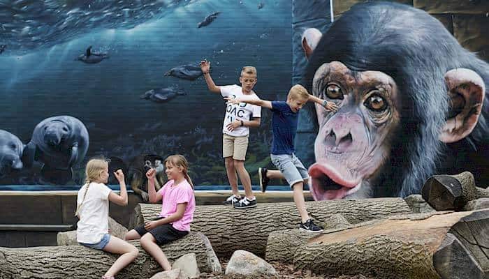 Odense Zoo - Affe und Meerestiere