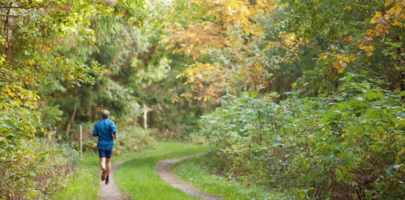 Auf Fünen im Wald laufen